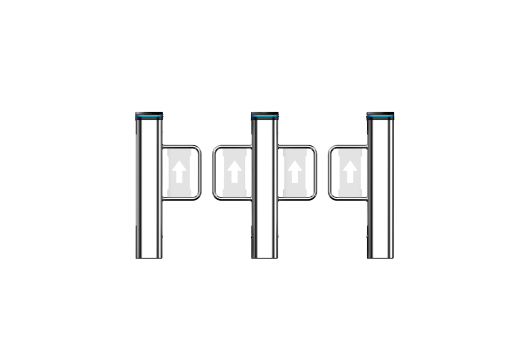 鼎悦6系Y款室外摆闸